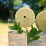 billederesultat med italiensk limonade